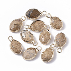 Picture Jasper Natural Picture Jasper Pendants, with Golden Tone Brass Open Back Bezel, Faceted, Teardrop, 17x9x5mm, Hole: 2mm