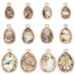 Light Gold 12шт 3 стили подвески из натуральной ракушки пауа, Подвески-капли из сплава со смолой, золотой свет, 15.5~21.5x9~14.5x3~3.5 мм, отверстие : 1.6 мм, около 4 шт. / стиль