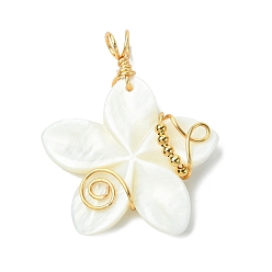 Белый Подвески из натуральных резных пресноводных ракушек, подвески-цветы с медной проволокой и латунными бусинами, золотые, белые, 40~41x32~33x6 мм, отверстие : 4 мм