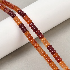 Red Agate Нити бусин из натурального красного агата (окрашенные и нагретые), бантом, 12x6 мм, отверстие : 0.8 мм, около 32 шт / нитка, 15.16'' (38.5 см)