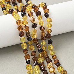 Янтарный Янтарные шарики нити, самородки, упавший камень, с бисером, 5.5~6x5.5~6x4~6 мм, отверстие : 0.7 мм, около 53 шт / нитка, 15.16 дюйм (38.5 см)