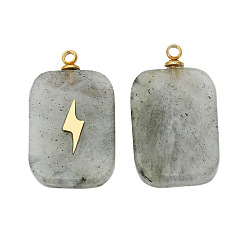 Лабрадорита Природные подвески лабрадорита, прямоугольные подвески с молнией из нержавеющей стали золотистого тона, 21.5x13 мм, отверстие : 1.5 мм