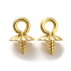 Настоящее золото 18K 304 скоба из нержавеющей стали, держатели чашки, реальный 18 k позолоченный, 8x6 мм, отверстие : 2 мм, штифты : 1.2 мм