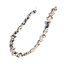 Черный Синтетических нитей бирюзовые бусы, окрашенные, черепаха, чёрные, 17x14 мм, около 23 шт / нитка, 15.75'' (40 см)