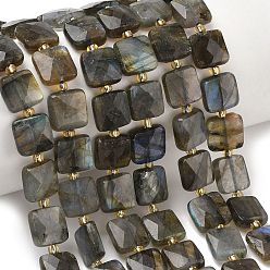 Лабрадорита Природные лабрадорита бисер нитей, квадратный, граненые, с бисером, 10x10x5 мм, отверстие : 1 мм, около 31 шт / нитка, 14.96 дюйм (38 см)