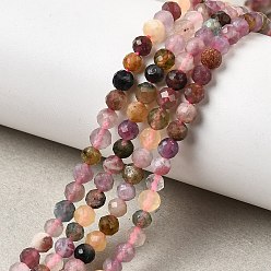 Турмалин Нити из натуральных разноцветных турмалиновых бусин, граненые, круглые, 4 мм, отверстие : 0.8 мм, около 48 шт / нитка, 7.68'' (19.5 см)