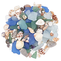 Mixed Shapes 250g натуральные украшения из ракушек, с 250г самородками, матовыми стеклянными кабошонами, для украшения аквариума с рыбками, разнообразные, 8~50x5~19.5x2.5~15.5 мм