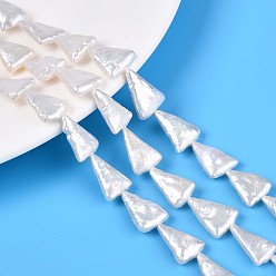 Морская Ракушка Натуральный жемчуг в стиле барокко, культивированный пресноводный жемчуг, треугольные, цвет морской раковины, 13.5~18x9~12.5x3~6.5 мм, отверстие : 0.5 мм, около 24~25 шт / нитка, 15.59~16.22'' (39.6~41.2 см)