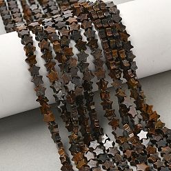 Бронзит Природные бронзитом бисер нитей, звезда, 5.5x6.5x2.5 мм, отверстие : 0.8~1 мм, около 73~78 шт / нитка, 15.35~15.47 дюйм (39~39.3 см)