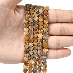 Сумасшедший Агат Природные сумасшедший агат бисер нитей, сердце, 6x6x2 мм, отверстие : 0.7 мм, около 65~72 шт / нитка, 13.39'' (34 см) ~ 15.35'' (39 см)