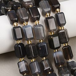 (946FM) Цитрин матовый с зеленой подкладкой Природные Ботсвана агат бисер нитей, граненые, кубоид, с бисером, 14.5x9.5 мм, отверстие : 1.2 мм, около 23 шт / нитка, 15.75'' (40 см)