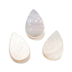 Blanc Cabochons de coquillages naturels, larme, blanc, 7x4.5x1mm