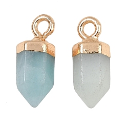 Flower Amazonite Амазонитовые подвески в виде цветов, с латунной найти, подвески в форме пули, золотые, 14~14.5x5.5~6.5x5.5~6.5 мм, отверстие : 1.8 мм