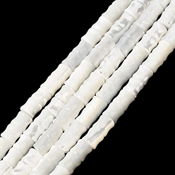 Белый Натуральная оболочка из трохидных оболочек, бамбуковую палку, белые, 9.5~10.5x5~5.5 мм, отверстие : 0.5~0.6 мм, около 38~39 шт / нитка, 15.08~15.43'' (38.3~39.2 см)