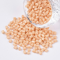 Легкий Лосось 8/0 два граненого стекла бисер, шестиугольник, спекающийся лак, светлый померанцевый, 2.5~3x2.5 мм, отверстия: 0.9 мм, около 15000 шт / мешок