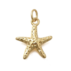 Настоящее золото 18K Латунные подвески, прелести морская звезда, без кадмия и без свинца, стойки покрытие, долговечный, с целью перехода в кольце, реальный 18 k позолоченный, 16.5x14.5x2.5 мм, отверстие : 3.6 мм