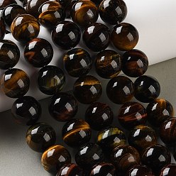 Тигровый глаз Трехцветные нити бусин из натурального тигрового глаза, гладкий круглый, окрашенная и подогревом, 16 мм, отверстие : 1.2 мм, около 25 шт / нитка, 15.75'' (40 см)