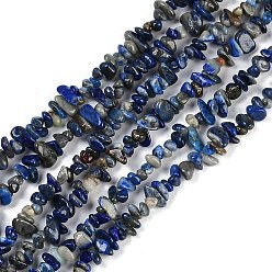 Lapis Lazuli Precious Chip Lapis Lazuli Beads Strands. 3~5mm, about 80~81cm Long, hole: about 0.3mm