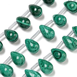 Малахит Нити натуральных бусин из малахлита, слеза, Топ пробуренной, 12.5x8 мм, отверстие : 0.8 мм, около 17 шт / нитка, 7.87'' (20 см)