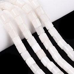 Белый Дым Окрашенные природные белый нефрит бисер пряди, колонка, серый, 8x8~8.5 мм, отверстие : 0.8~1 мм, около 45 шт / нитка, 14.76~14.96 дюйм (37.5~38 см)