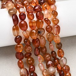 Red Agate Натуральный красный агат бисер нитей, самородки, упавший камень, 6~10x6~8x4~5 мм, отверстие : 1 мм, около 28~30 шт / нитка, 7.87'' (20 см)
