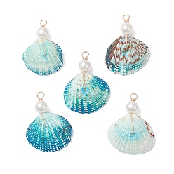 Light Gold Подвески из окрашенных натуральных ракушек и имитации круглого белого жемчуга, подвески в форме ракушек, глубокое синее небо, золотой свет, 32~45x20~38x8~10 мм, отверстие : 3~3.5 мм