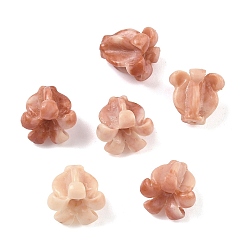 Верблюжий Резные бусины из синтетического коралла, окрашенные, цветок, верблюжие, 12x12.5x11.5 мм, отверстие : 1.4 мм