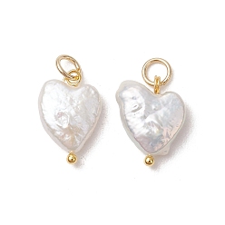 Настоящее золото 18K Подвески из натурального барочного жемчуга Кеши, подвески в форме сердца с 304 кольцами из нержавеющей стали, белые, реальный 18 k позолоченный, 14.5~15.5x10.5~11.5x4.5 мм, отверстие : 3.5 мм