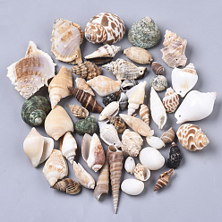 Mixed Color Natural Spiral Shell Pendants, Mixed Color, 20~76x10~53x10~34mm, Hole: 1.2~2mm