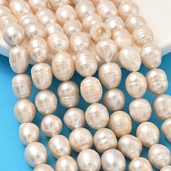 Желтая Старая Ткань  Нити из натурального культивированного пресноводного жемчуга, рис, класс 2, старое кружево, 10~11 мм, отверстие : 0.7 мм, около 30 шт / нитка, 13.66'' (34.7 см) ~ 13.86'' (35.2 см)