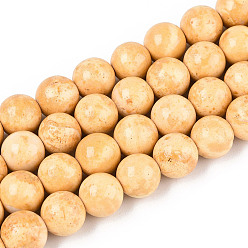 Мокасин Окрашенные нити синтетических окаменелостей, круглые, мокасин, 8~8.5x8 мм, отверстие : 1 мм, около 50 шт / нитка, 15.94'' (40.5 см)