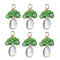 Зеленый Подвески из стеклянных бусин в виде медуз, с акриловыми бусинами под жемчуг и медной проволокой, зелёные, 18~19.5x10~11 мм, отверстие : 3.5 мм