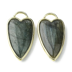 Лабрадорита Природные подвески лабрадорита, ограненные сердце прелести, с реечным покрытием кромка из латуни с покрытием из светлого золота, 34.5x18x7 мм, отверстие : 7x5 мм