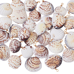 Золотой 30 шт. Подвески из натуральных ракушек, с медной проволокой, подвески в форме ракушек, золотые, 28~37 мм