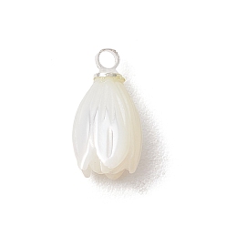 Серебро Подвески из натуральных ракушек trochus, Подвески в виде цветов с латунными креплениями, белые, серебряные, 13x7 мм, отверстие : 1.7 мм