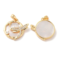 Раковина Латунные микропаве прозрачные подвески с фианитом, подвески в виде стрекоз с натуральной оболочкой, реальный 18 k позолоченный, 19.5x19x4 мм, отверстие : 2x3.5 мм