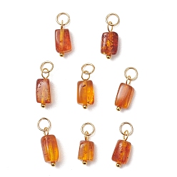 Золотой Подвески из натурального янтаря, Прямоугольные подвески с фурнитурой из нержавеющей стали., золотые, 304 мм, отверстие : 12~14.5x5~6x4.5~5.5 мм
