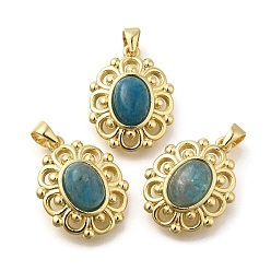 Апатит Натуральный апатит подвеска, стойка покрытие золотистый тон латунные овальные подвески, долговечный, 18x14x6 мм, отверстие : 3.5x3 мм