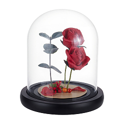 Прозрачный 1PC арочный стеклянный купольный чехол, декоративная витрина, Террариум в виде колокольчика с подставкой из эва, прозрачные, 120x170 мм