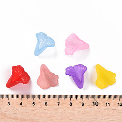 Mixed Color Transparent Acrylic Bead Caps, Trumpet Flower Beads, Frosted, Flower, Mixed Color, 18x18x17mm, Hole: 1.5mm, about 700pcs/500g