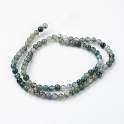 Moss Agate Natural Moss Agate Bead Strands, Round, 4~4.5mm, Hole: 1mm, about 85~90pcs/strand, 14.9 inch(38cm)
