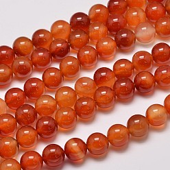 Red Agate Круглые натуральный красный агат бисера пряди, окрашенная и подогревом, 12 мм, отверстие : 1.2 мм, около 30 шт / нитка, 14.9 дюйм