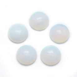 Opalite Opalite Cabochons, Half Round, 10x4~5mm