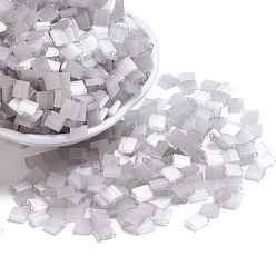 (TL2598) Silk Pale Grey Миюки тила бусины, японский бисер, 2-луночное, (тл 2598) шелк бледно-серый, 5x5x1.9 мм, Отверстие : 0.8 мм , около 590 шт / 50 г