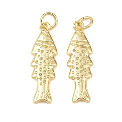 Настоящее золото 18K Латунные подвески, рыба, без кадмия и без свинца, стойки покрытие, долговечный, с целью перехода в кольце, реальный 18 k позолоченный, 24x8x2 мм, отверстие : 3 мм