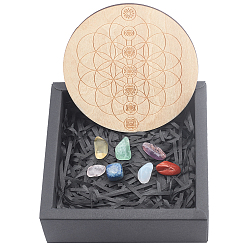 Mixed Stone Yoga Theme, Chakra Beginners Kit, Healing Stones, with Natural Wood Plate, Spiritual Gifts for Women, 15~19x6.5~9mm