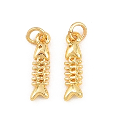 Fish Латунь прелести, без свинца и без кадмия, стойки покрытие, долговечный, реальный 18 k позолоченный, рыба, 14x3.5x2 мм, Перейти кольцо: 4x0.7 мм, внутренний диаметр: 2.5 мм