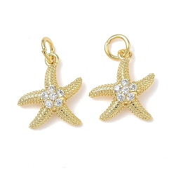 Морская звезда Латунные микропаве прозрачные кубические циркониевые подвески, с целью перехода в кольце, без свинца и без кадмия, долговечный, стойки покрытие, реальный 18 k позолоченный, морская звезда, 14.5x13x3.5 мм, отверстие : 3 мм