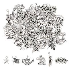 Античное Серебро 60 шт 6 стиль День независимости тема тибетский стиль цинковый сплав подвески, орел и звезда и голубь мира и флаг, античное серебро, 18~36x9.6~30x2~4 мм, отверстие : 1.5~2 мм, 10 шт / стиль