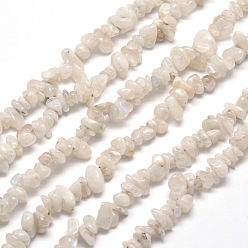 Rainbow Moonstone Нити из натурального радужного лунного камня, 5~8x5~8 мм, отверстие : 1 мм, о 31.5 дюйме